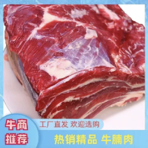 【包邮-10斤牛腩肉】批发5斤10斤冷冻保鲜牛腩肉