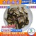 【2023新苗】鳙鱼苗大头鱼苗花鲢鱼苗花鲢水花出售
