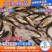 【2023新苗】鳙鱼苗大头鱼苗花鲢鱼苗花鲢水花出售