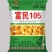 兴农富民玉米种子富民105穗长抗倒能力强对接各大批