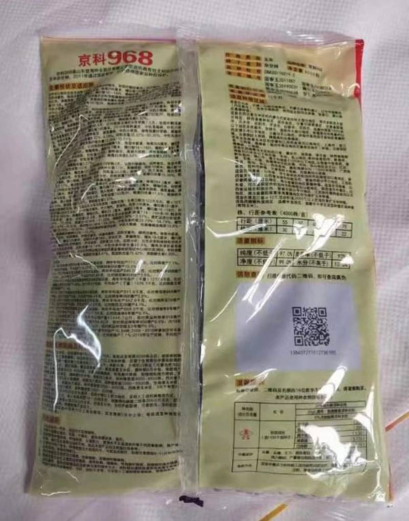 登海京科玉米种子京科968穗长抗倒能力强对接批发商