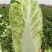 白菜北京新3号量大从优价格优惠一手货源品质高