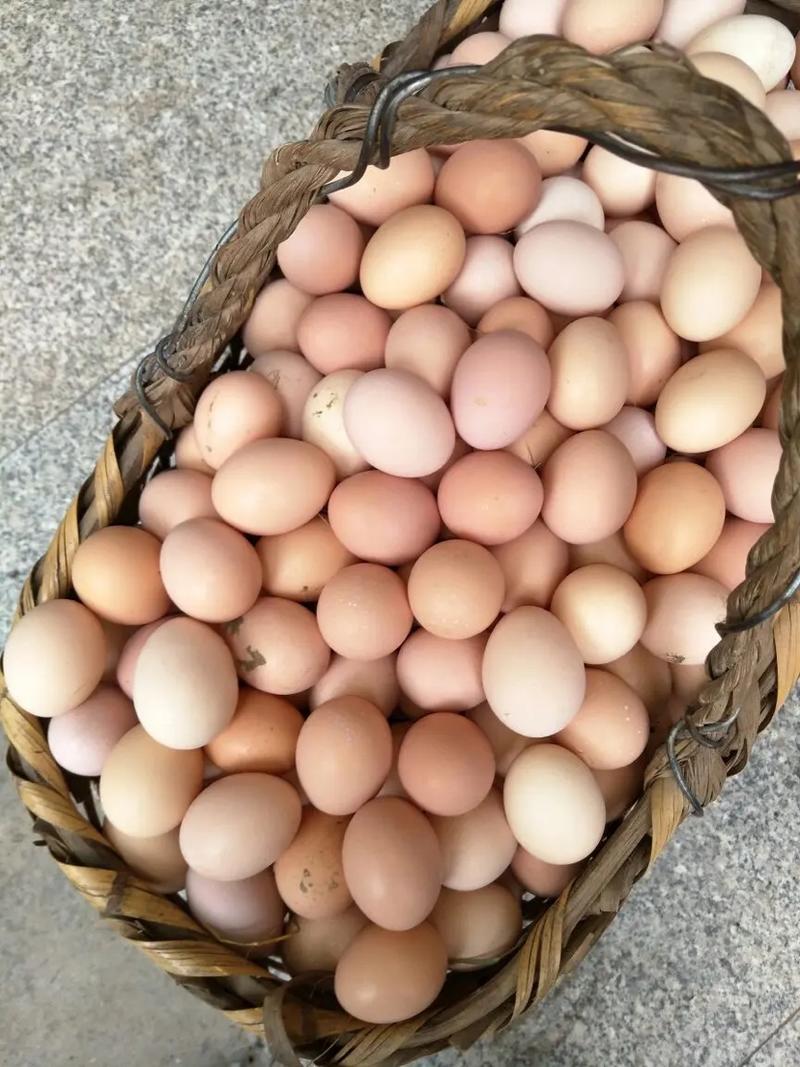 土鸡蛋鸡蛋鲜发，蛋清粘稠，品质好，面向全国发货