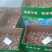 185未洗纸皮核桃新疆核桃大量上市量大优惠欢迎咨询下单