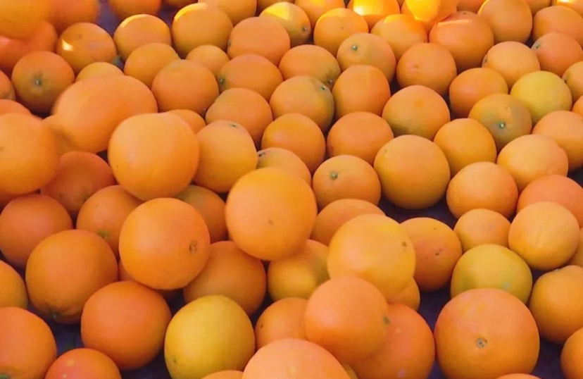 鲜橙与雪梨营养成分对比图