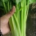 大量提供香芹毛芹有需要的联系