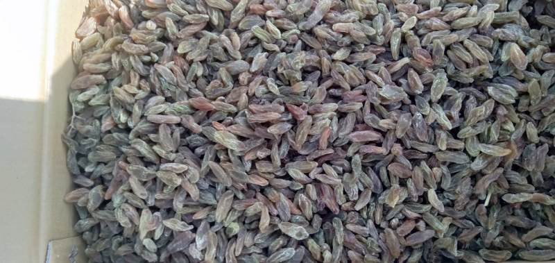 包邮大果葡萄干红葡萄干大量上市量大价优欢迎下单