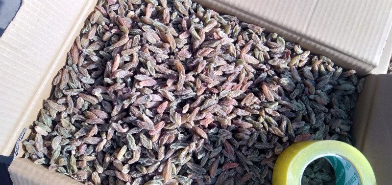 包邮大果葡萄干红葡萄干大量上市量大价优欢迎下单