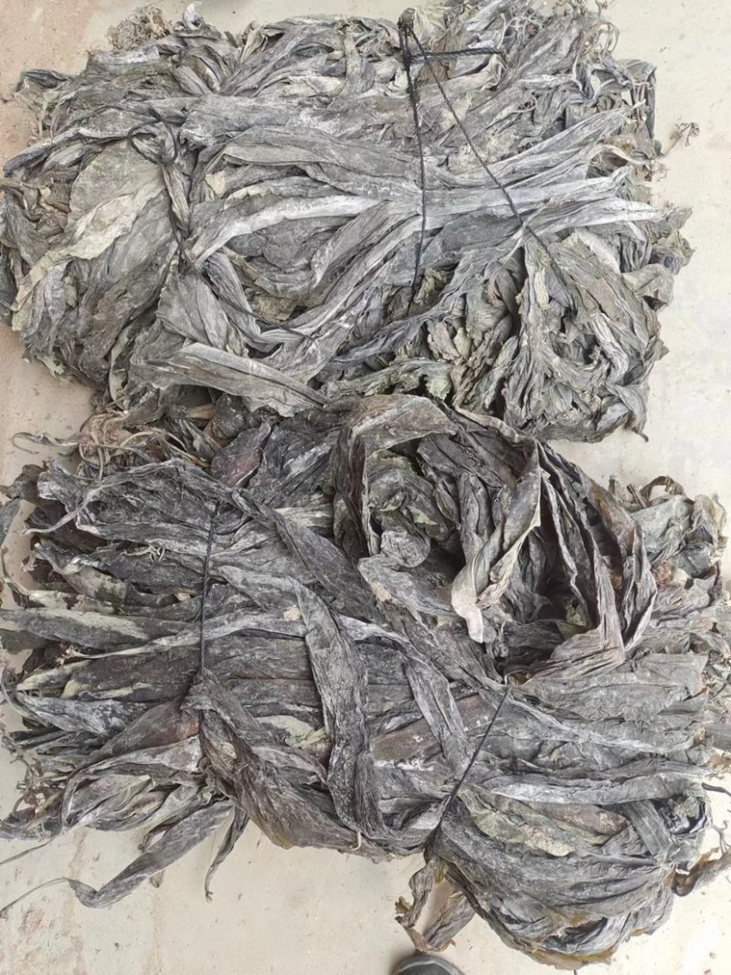 福建霞浦海带干海带成色好货量大全年有货打捆现场看货订货