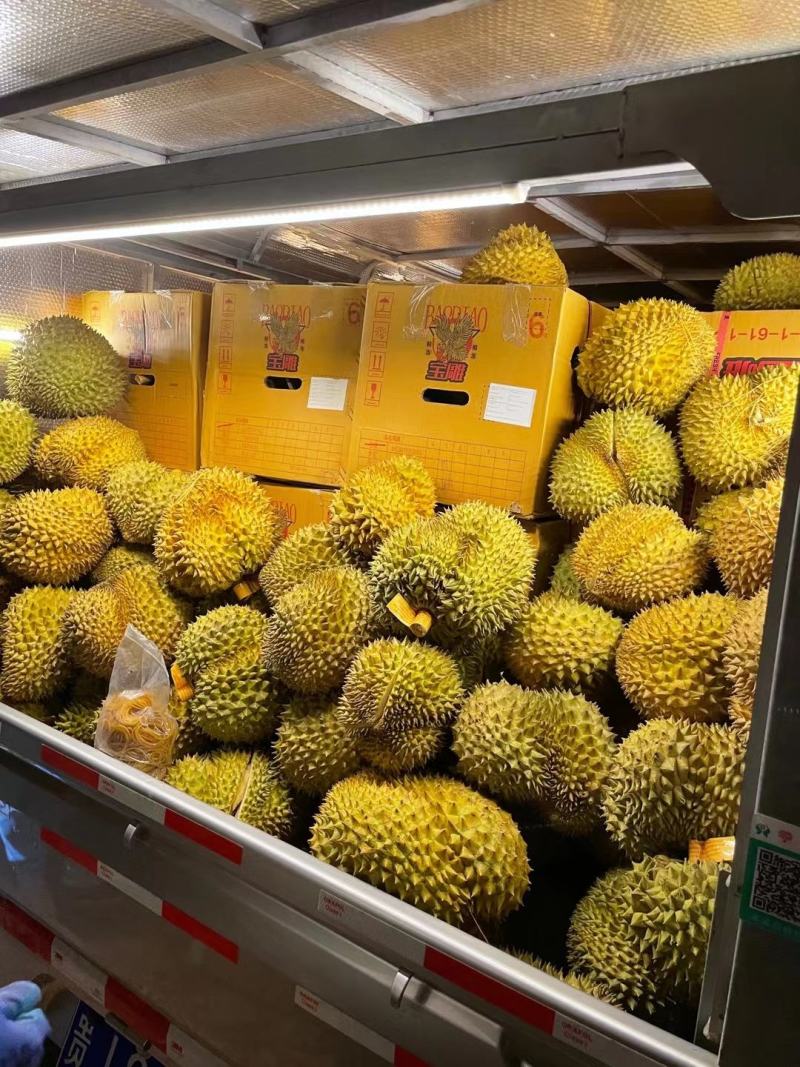 每天都有大量榴莲批发