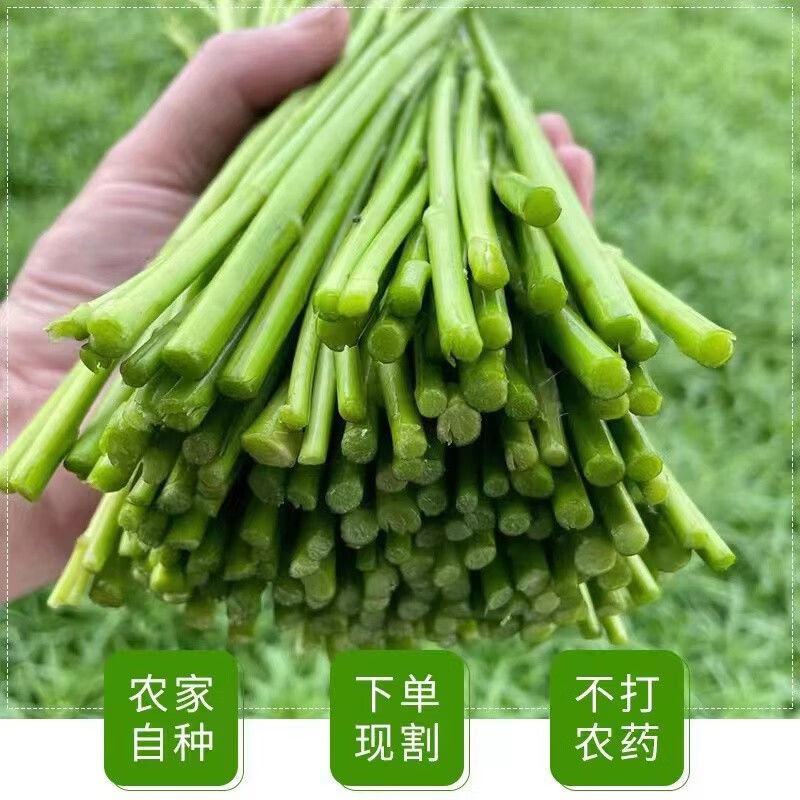 湖北省洪湖市汊河镇黎蒿之乡
