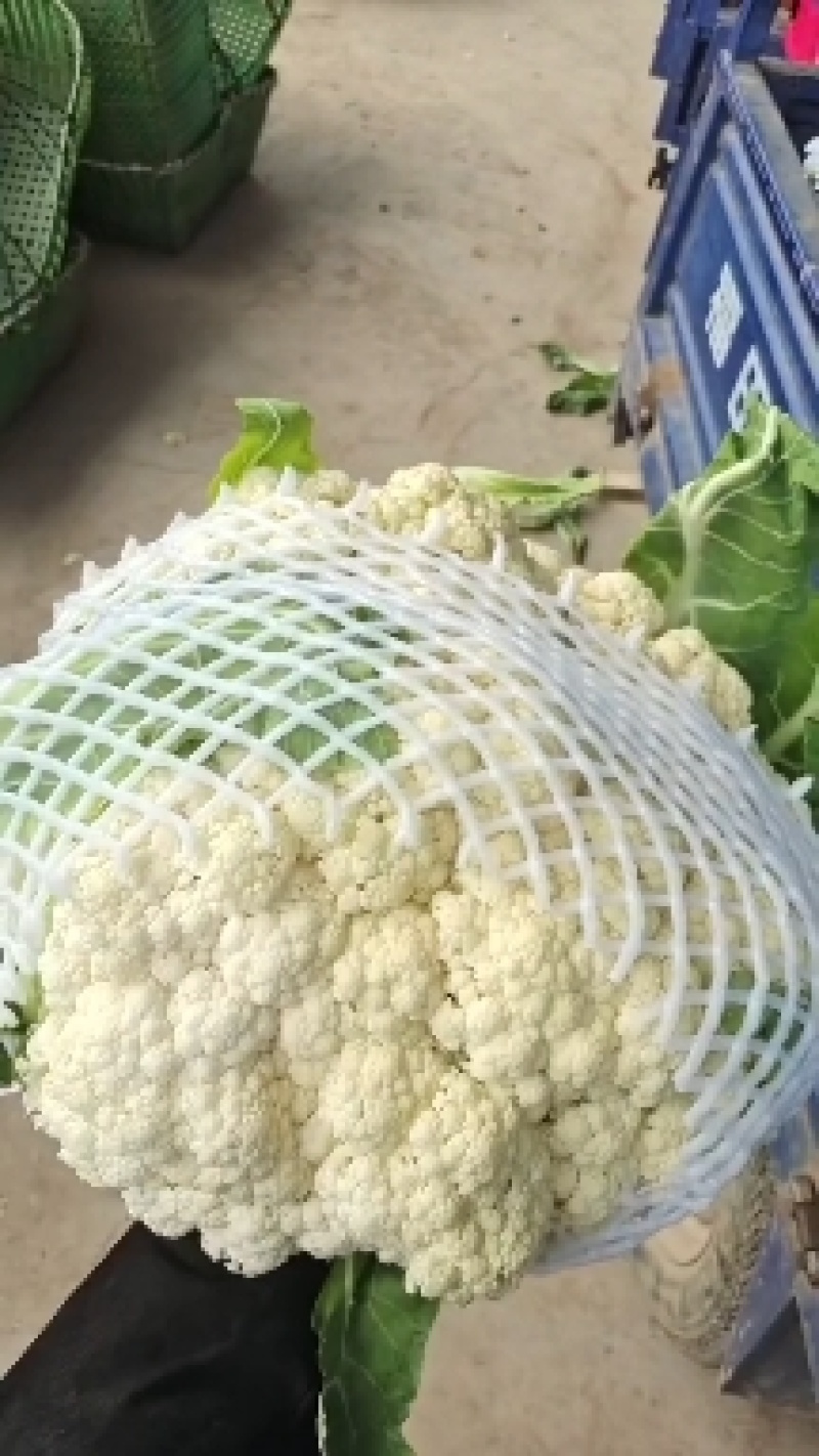 有机花菜