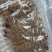 皮皮虾肉虾姑肉爬虾肉虾婆肉琵琶虾肉包装