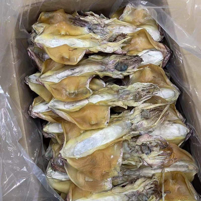 广东湛江墨鱼干量大从优，欢迎各位老板随时致电