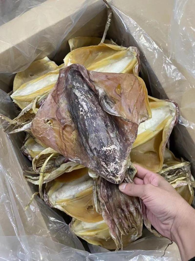 广东湛江墨鱼干量大从优，欢迎各位老板随时致电
