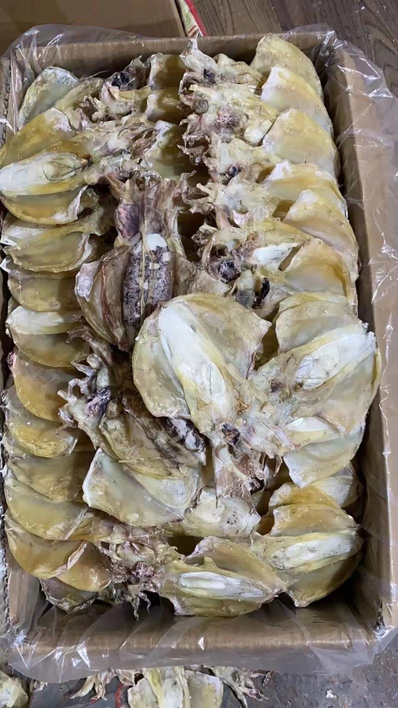广东湛江墨鱼干量大从优，欢迎各位老板随时致电
