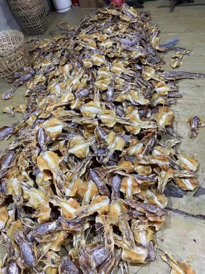 广东湛江墨鱼干量大从优，欢迎各位老板随时致电