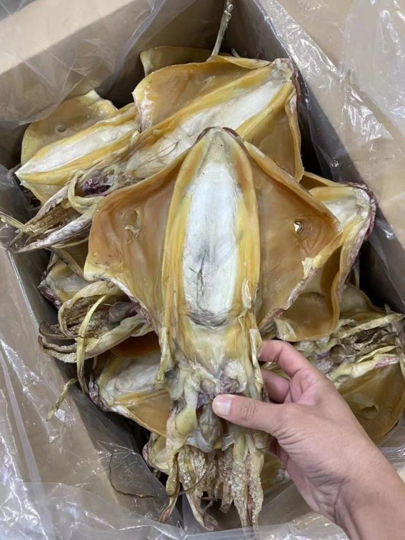 广东湛江墨鱼干量大从优，欢迎各位老板随时致电