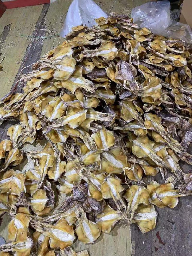 广东湛江墨鱼干量大从优，欢迎各位老板随时致电