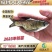 【2023新苗】苗场直供缩骨大头鱼苗缩骨鱼苗缩骨鳙鱼苗