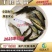 优质丁桂鱼鱼苗欧洲丁鱥鱼苗丁桂鱼苗水花食用观赏鱼