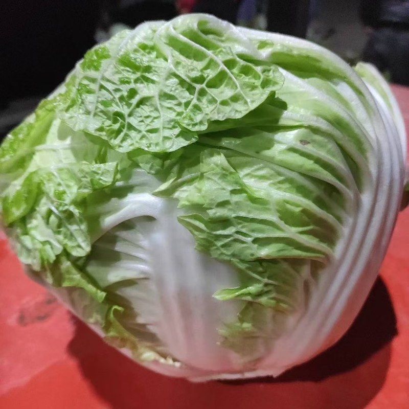 [大白菜]鸡腿大白菜产地白菜欢迎来电采购
