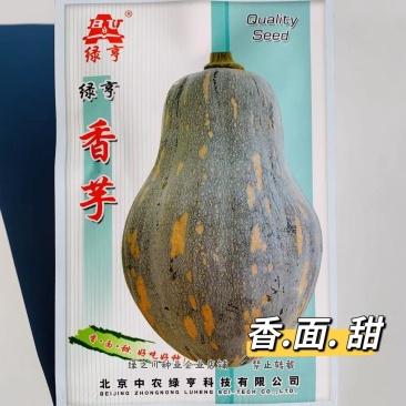 香芋南瓜种子新育成高品质南瓜品种，果肉橙黄味甜有香芋味