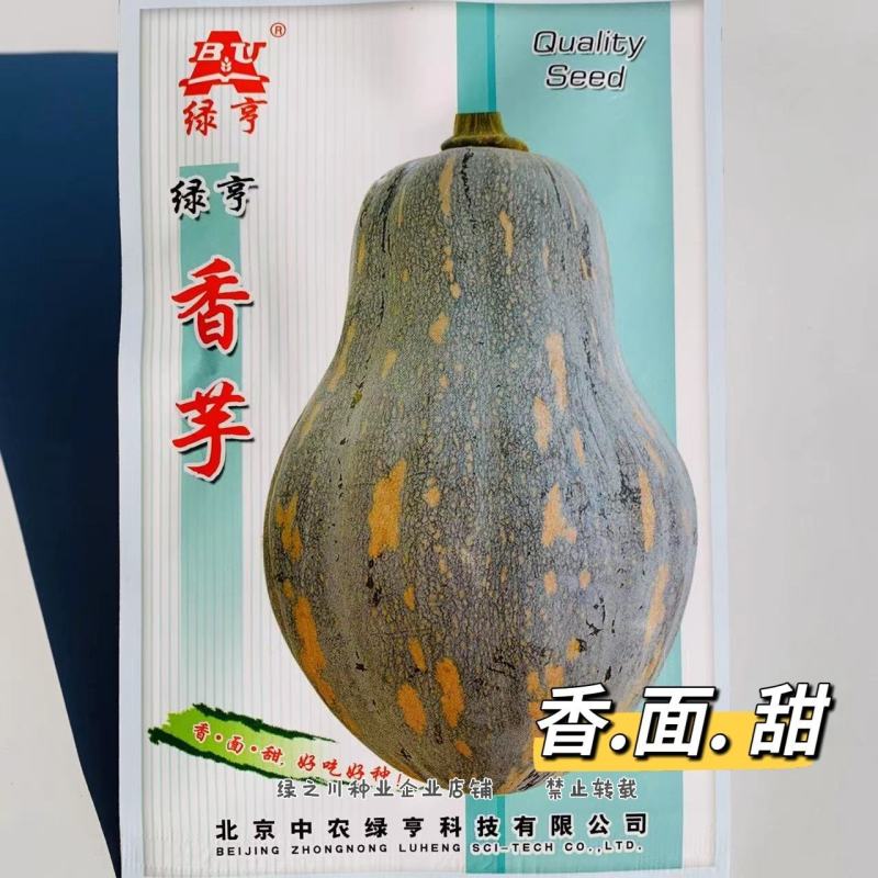 香芋南瓜种子新育成高品质南瓜品种，果肉橙黄味甜有香芋味