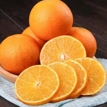 重庆奉节脐橙基地直供全国代发欢迎来电咨询
