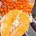 奉节纽荷尔脐橙基地直供全国代发提供一条龙服务