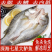 三去海鲈鱼七星鲈鱼花鲈鱼深海鱼海鲜水产开背去腮去内脏