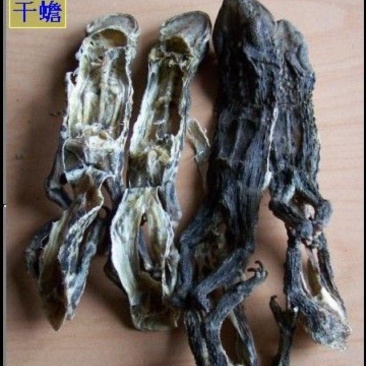 干蟾干蟾蜍癞蛤蟆干去内脏有头有尾完整一只