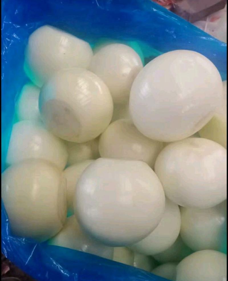 优质精品黄皮洋葱球，品质优良，量大从优，欢迎合作！！！