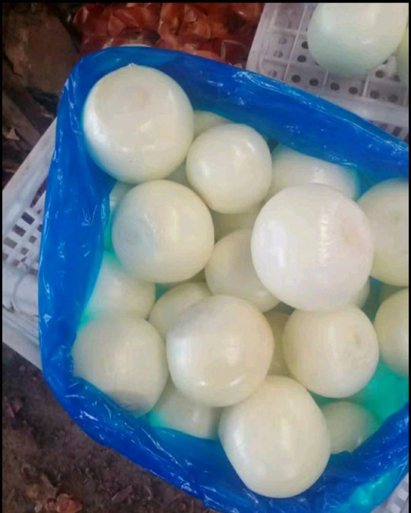 优质精品黄皮洋葱球，品质优良，量大从优，欢迎合作！！！