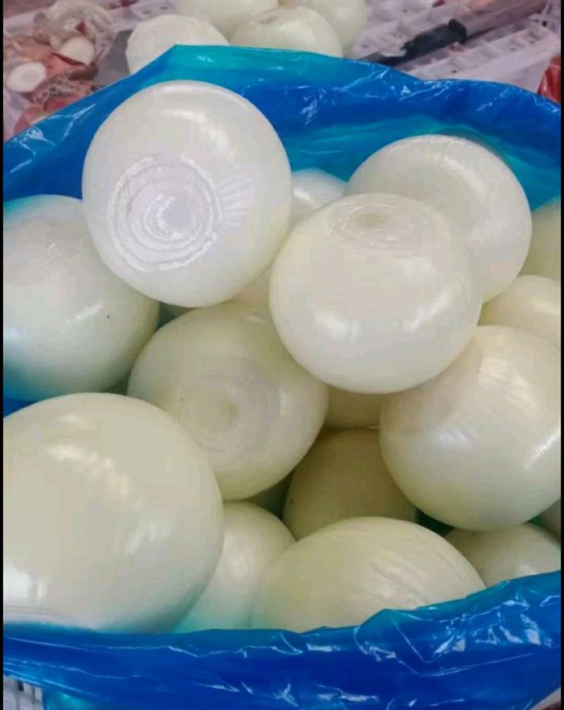 优质精品黄皮洋葱球，品质优良，量大从优，欢迎合作！！！