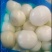 优质精品黄皮洋葱球，品质优良，量大从优，欢迎合作！！！