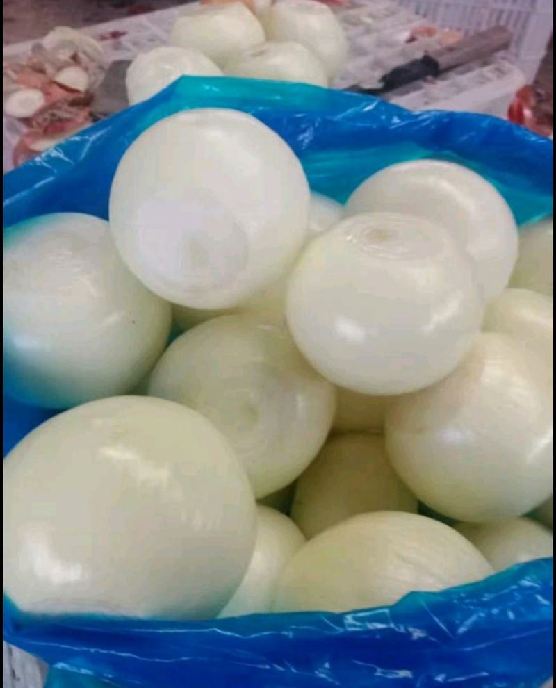 优质精品黄皮洋葱球，品质优良，量大从优，欢迎合作！！！