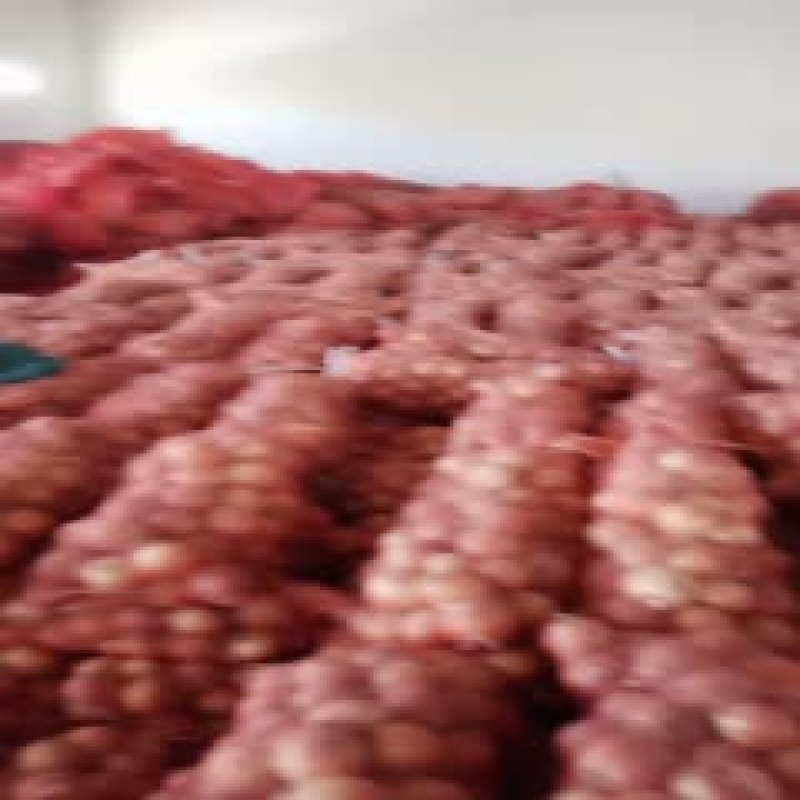 优质精品加工黄皮洋葱，产地直销，量大从优，出口佳品！