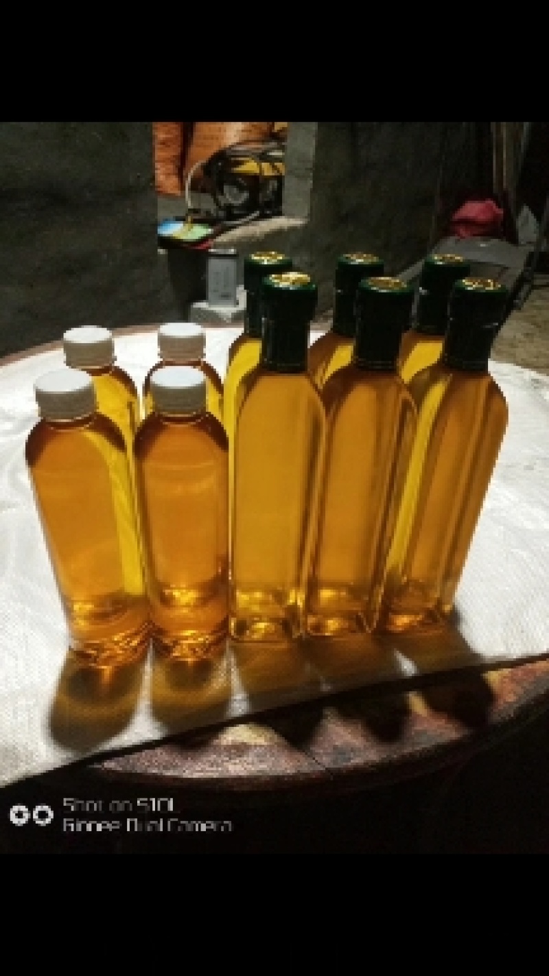纯野生山茶油