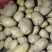 优质土豆，颜色鲜亮，产区直供，提供加工包装！