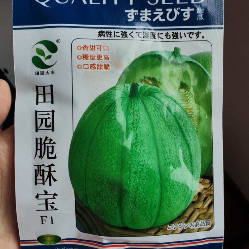 小麦酥甜瓜种子，10克，香甜可口糖度高