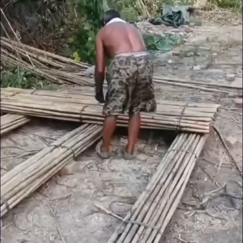 香蕉竹，竹尾，甘蔗竹，百香果竹，罗汉果竹