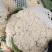 有机花菜松散，2斤左右质量很好，欢迎新老客户来订