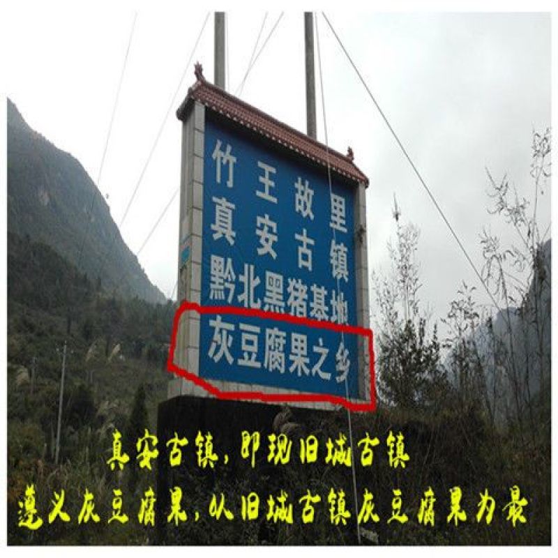 灰豆腐果