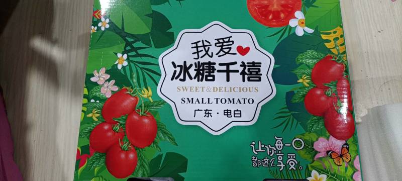 广东电白千禧圣女果基地直供全国各大商超、市场、电商团购