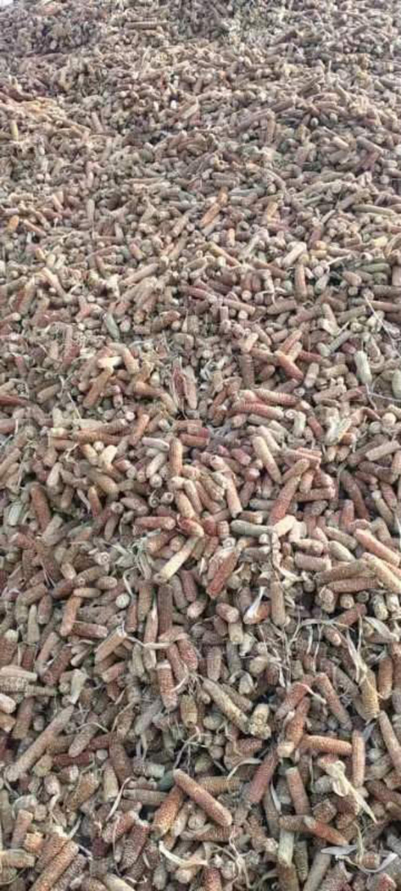 山东大量玉米芯玉米芯颗粒出售一手货源产地实发