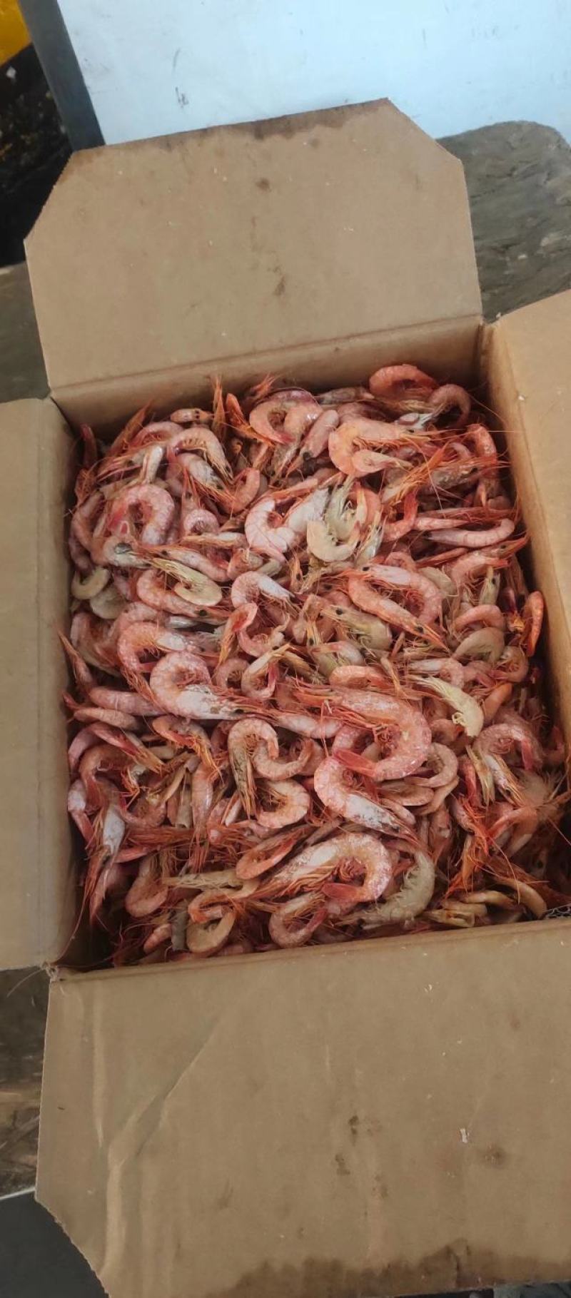 羊毛虾，白米虾可做加工虾。油炸小虾新鲜美味货源稳定