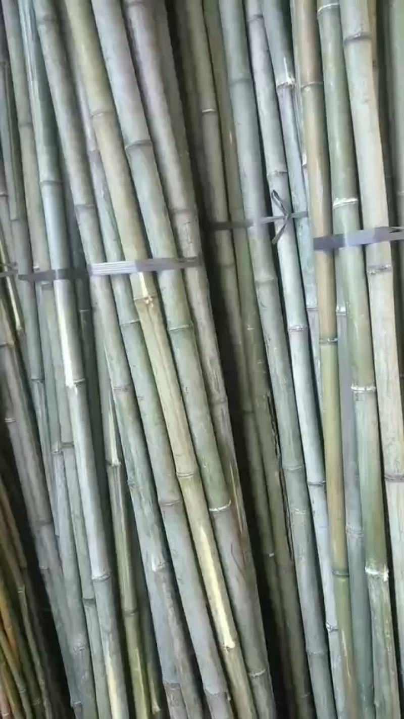 豆角竹，黄瓜竹，冬瓜竹，西红柿竹竿，茄子竹竿