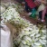 优质西葫芦，颜色鲜绿，基地，加工一体化，包装齐全，基地直