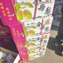 库尔勒香梨装大量现货，产地一手货源品质有保证。质量保售后